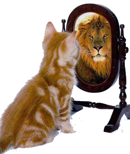 gattino-allo-specchio